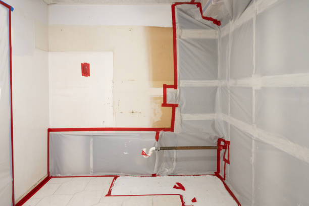 Tiffin, OH Mold Removal Company